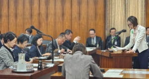 三原じゅん子大臣に対して質疑する安藤じゅん子
