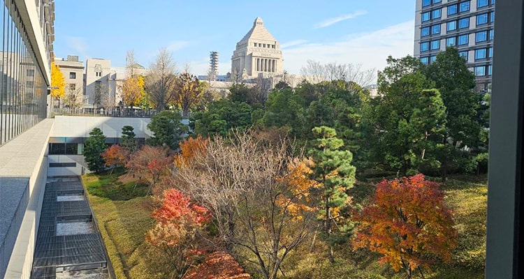 国会議事堂周辺の紅葉の様子